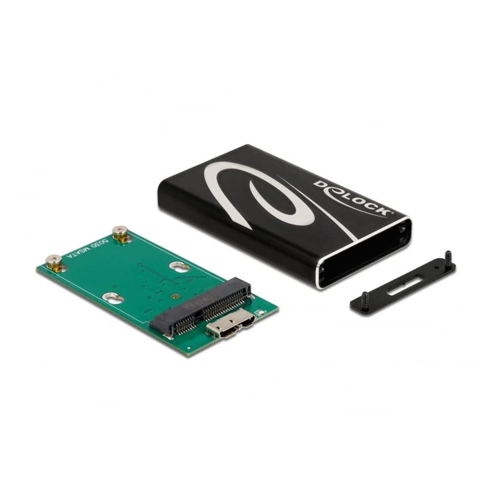DeLock Externes Boitier SuperSpeed USB pour mSATA SSD