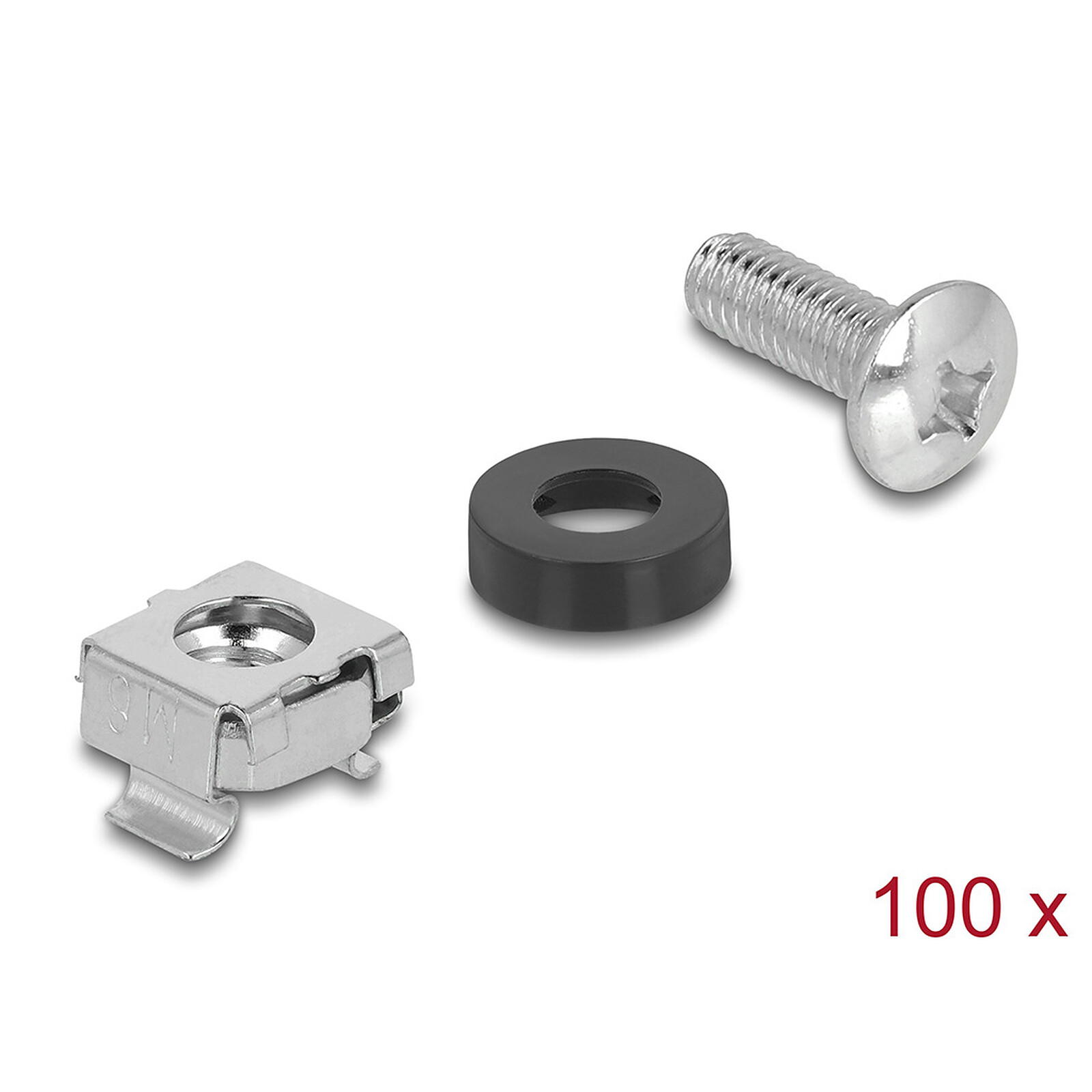 DeLock Kit de montage rack avec 100 vis M6, 100 écrous M6 et 100 rondelles en plastique