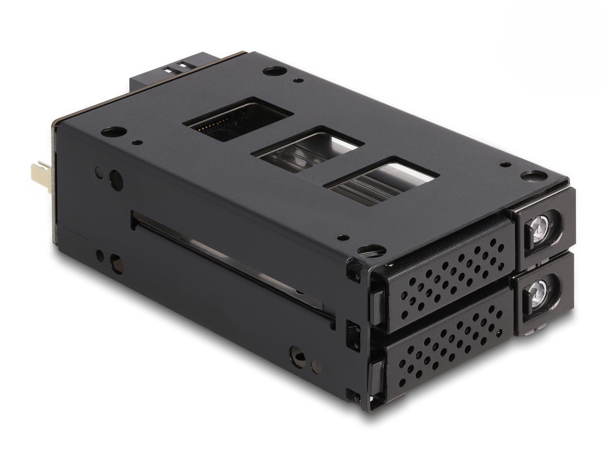 DeLock Cadre amovible pour 2x 2,5 U.2 NVMe SSD, Slim Bay