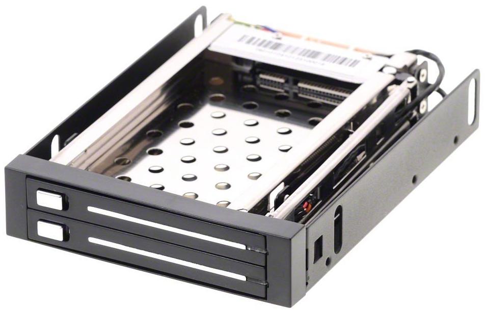 DeLock Rack mobile 3.5? pour DD SATA 2 x 2.5?