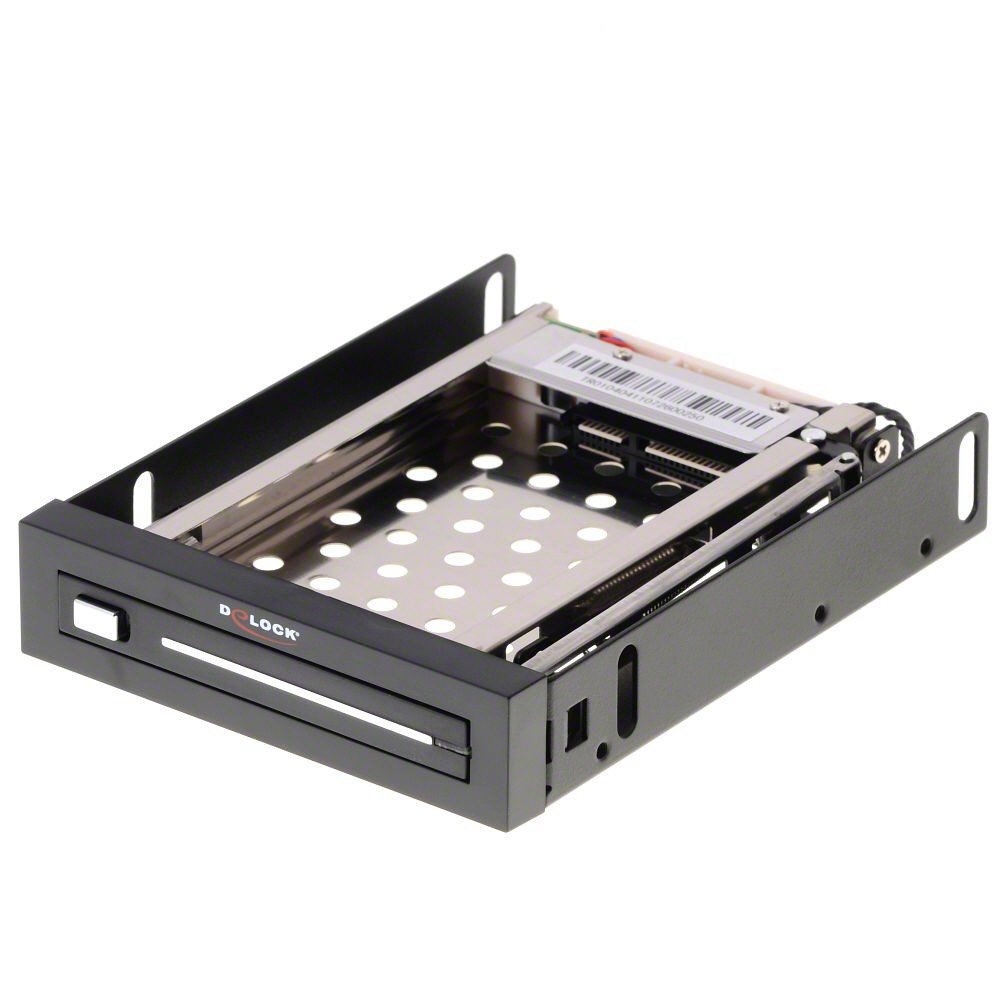 DeLock Rack mobile 3.5? pour DD / SSD SATA 1 x 2.5?