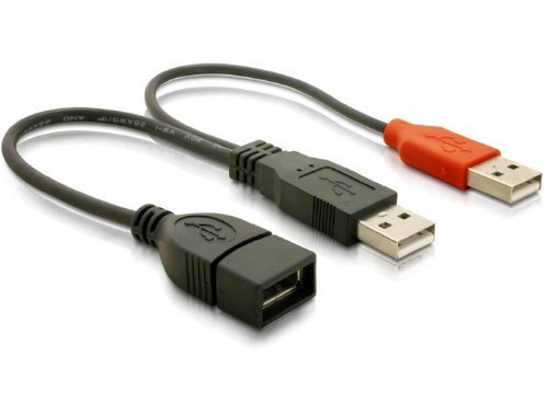 DeLock USB 2.0 Y-Kabel