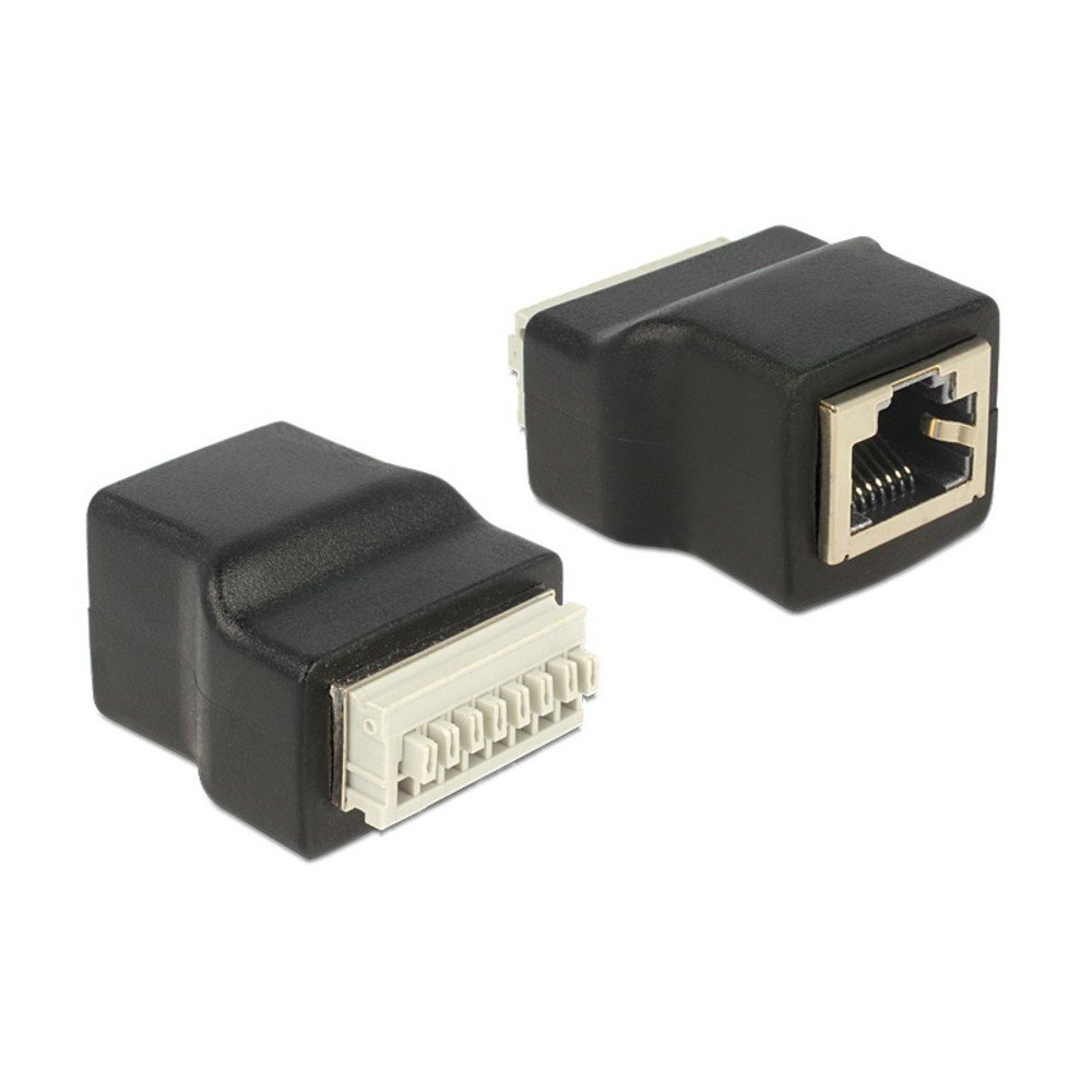 DeLock Adapter R-J45 Buchse - Terminalblock