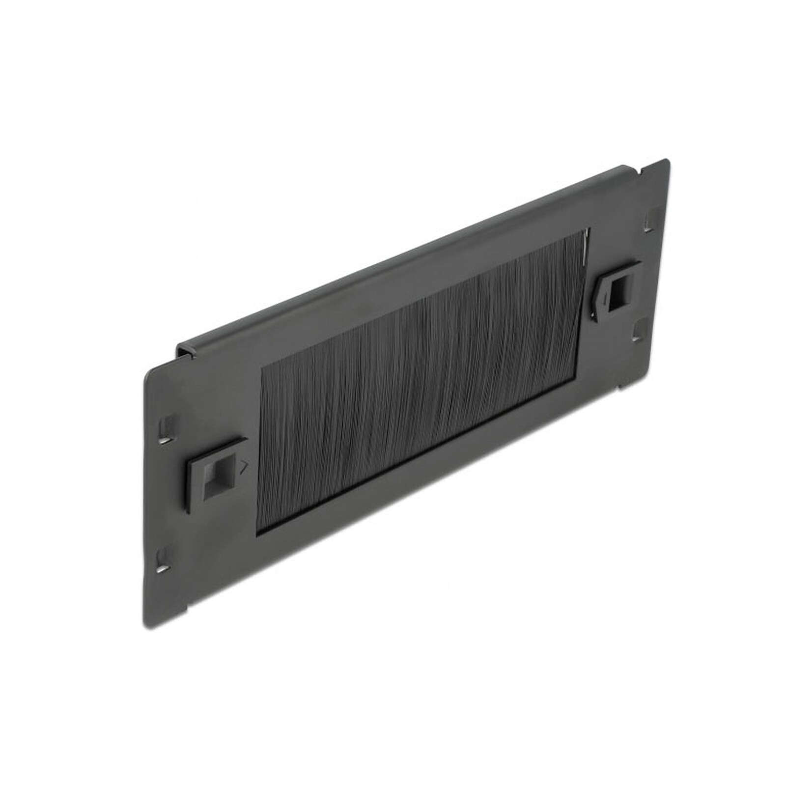 DeLock Panneau passe-câble à brosse 2U pour armoire réseau 10