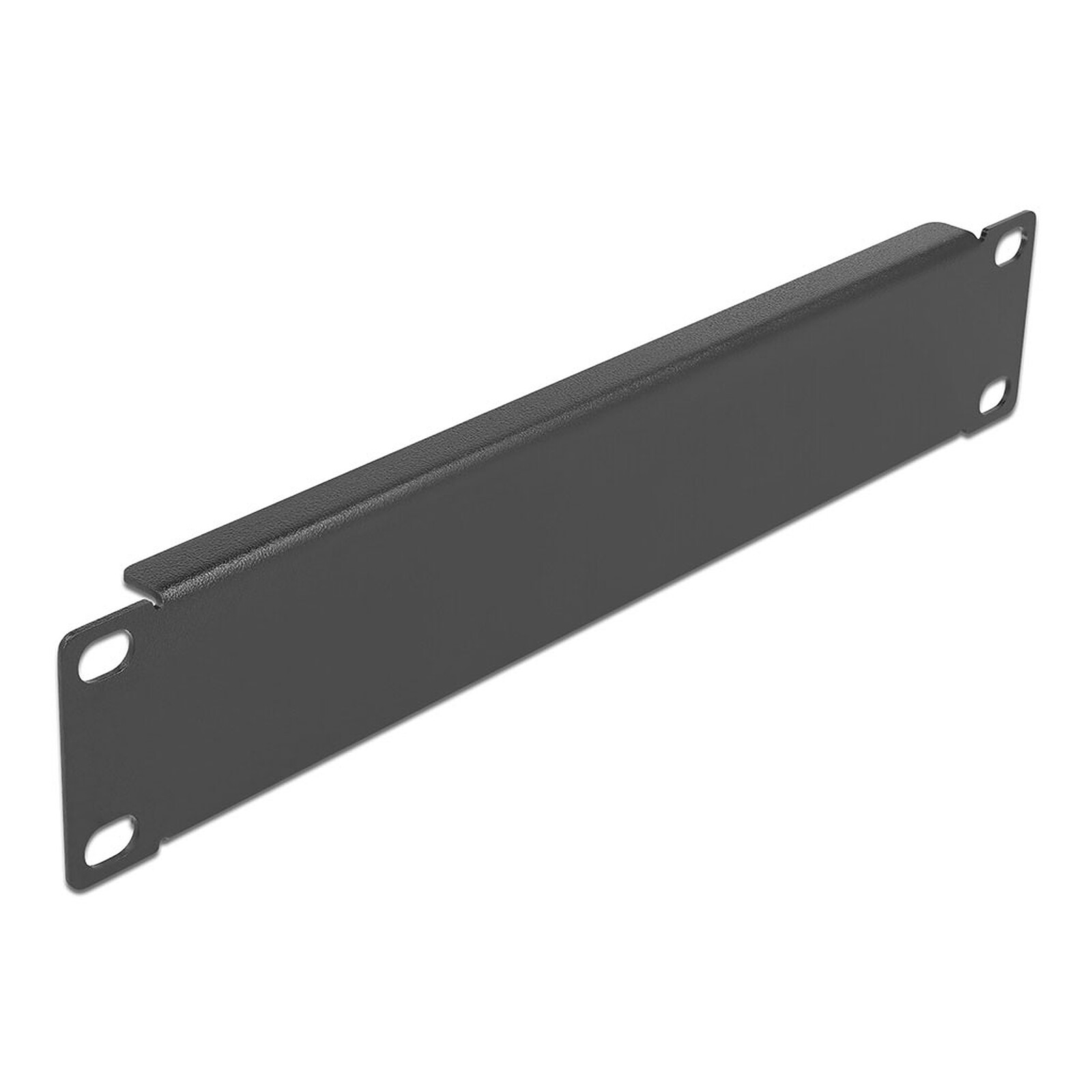 DeLock Panneau plein 1U pour armoire réseau 10