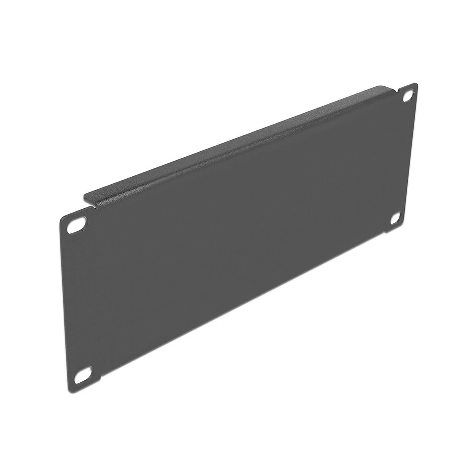DeLock Panneau plein 2U pour armoire réseau 10