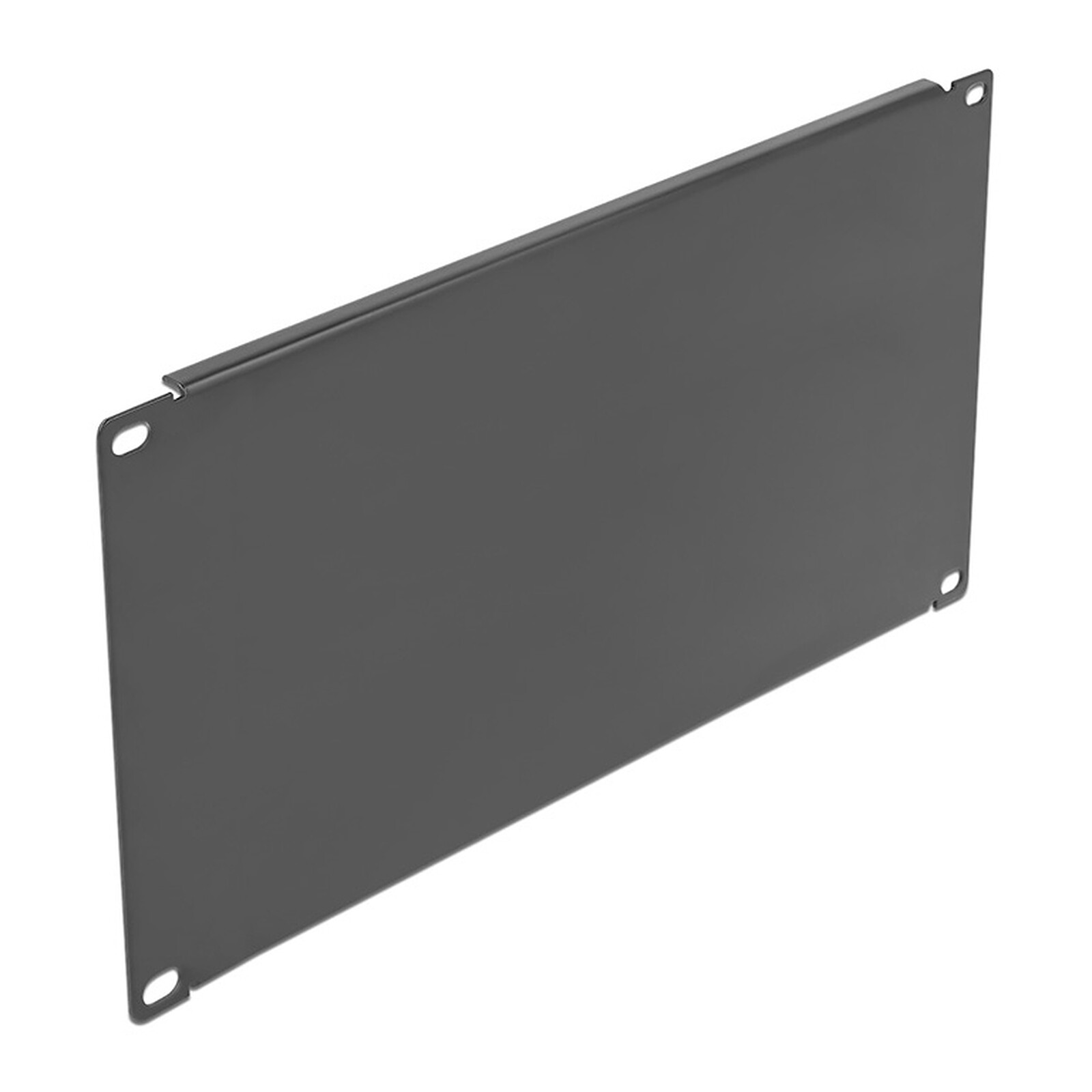 DeLock Cache d'armoire réseau 4U 19