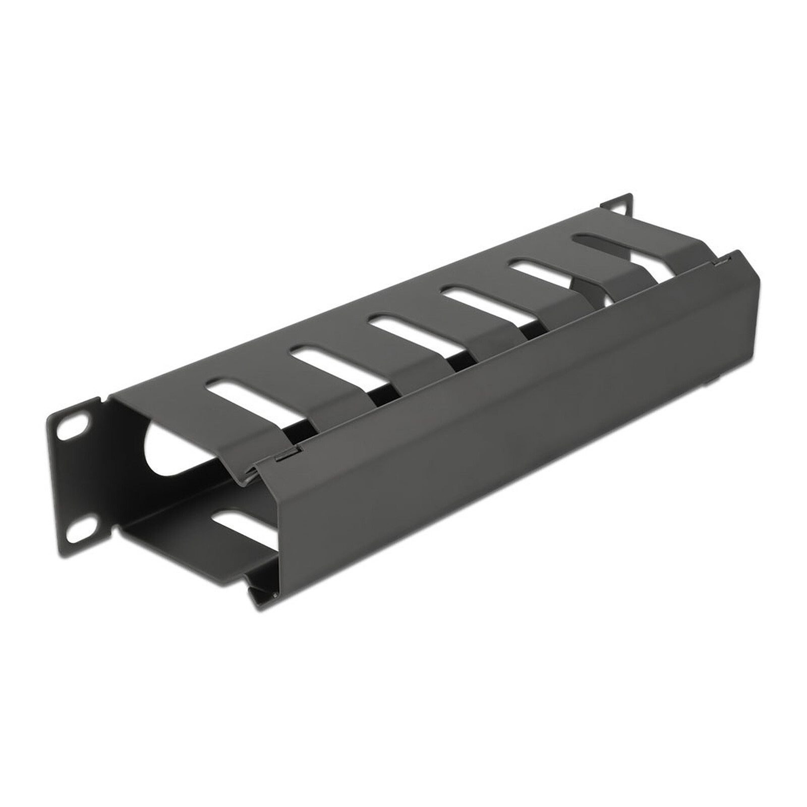DeLock Goulotte passe-câbles 1U pour armoire réseau 10