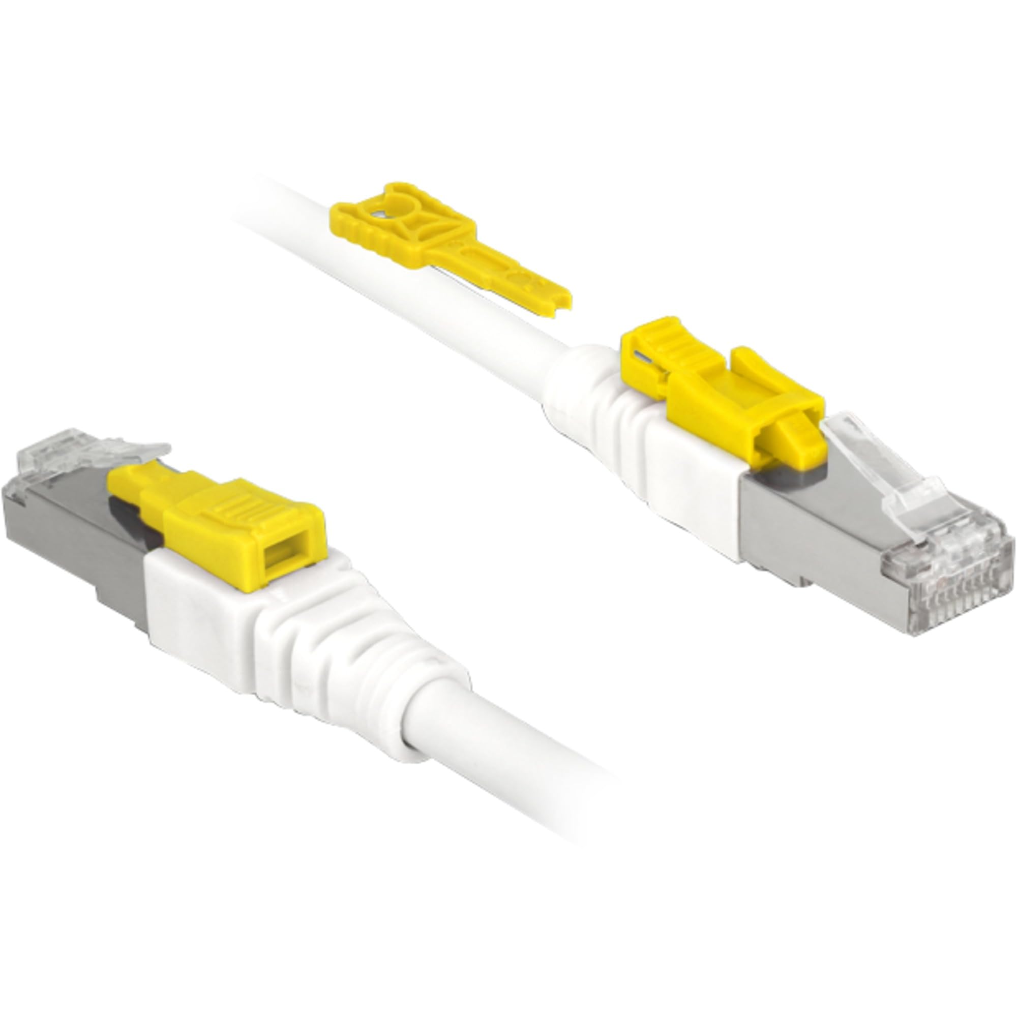 DeLock RJ45 Secure Cat. 6A