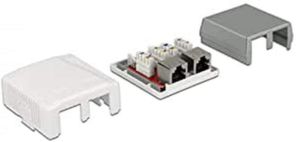 DeLock RJ-45 Anschlussdose 2 Port Cat.6a LSA