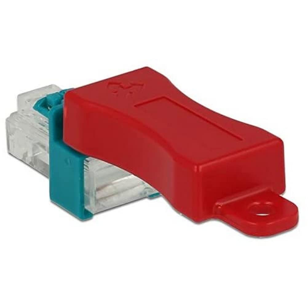 DeLock RJ45 Secure Clip avec Stecker