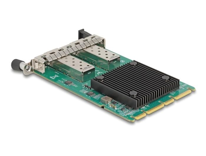 DeLock OCP 3.0 à 2 x SFP+ 10 Gigabit