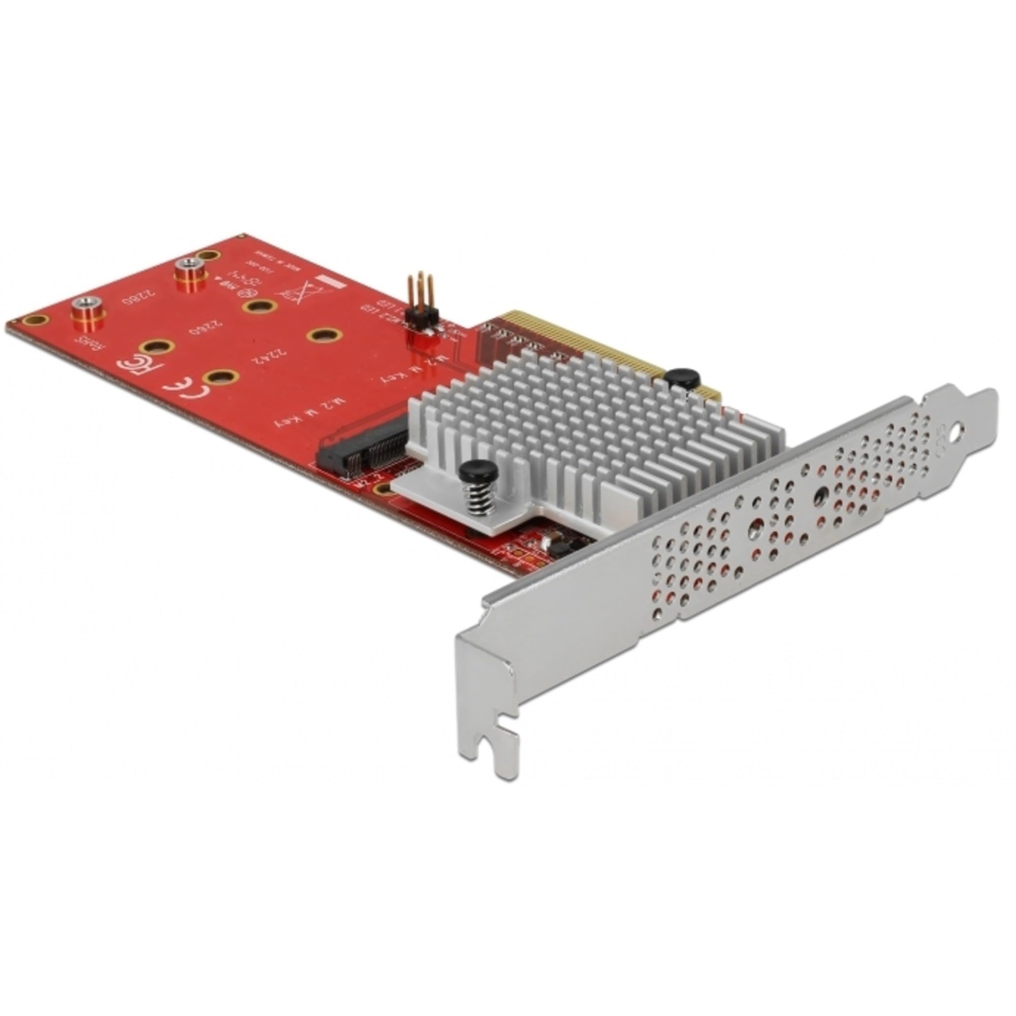 DeLock PCIe x8>2x int. NVMe M.2 Key M LP
