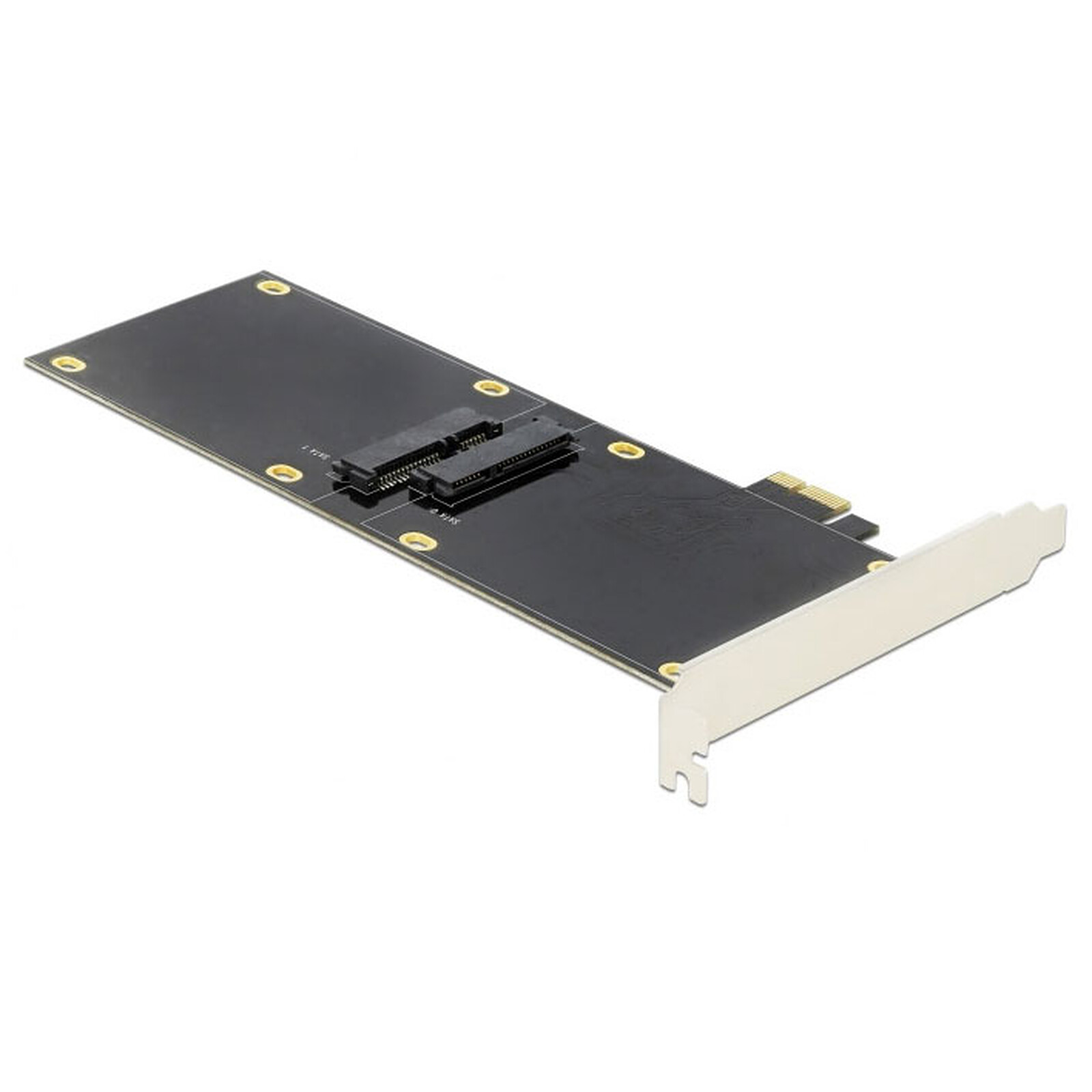 DeLock Carte Contrôleur PCI Express pour 2 disques 2.5