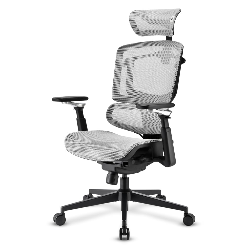 Sharkoon Bürostuhl OfficePal C50M