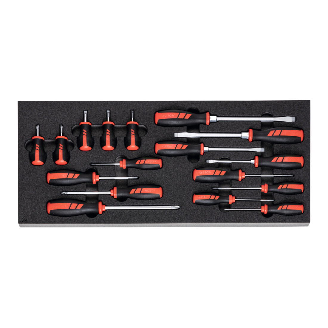 HOLEX Holex Assort . MOUSSE TVIS PHILLIPS/PLAT , Nombre d'outils: 17