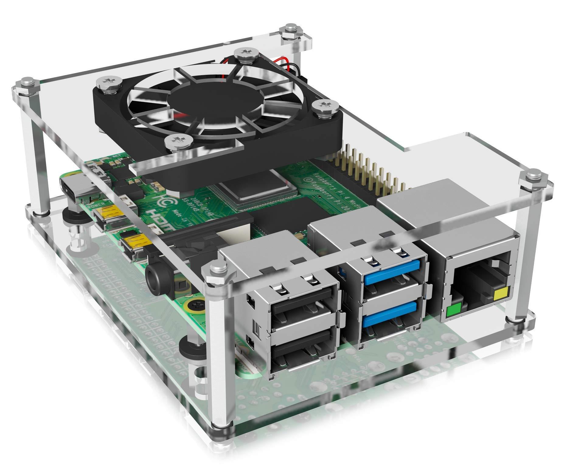 Raspberry IB-RP106