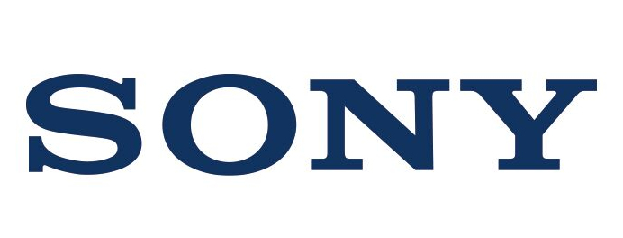 SONY ECM-W2BT