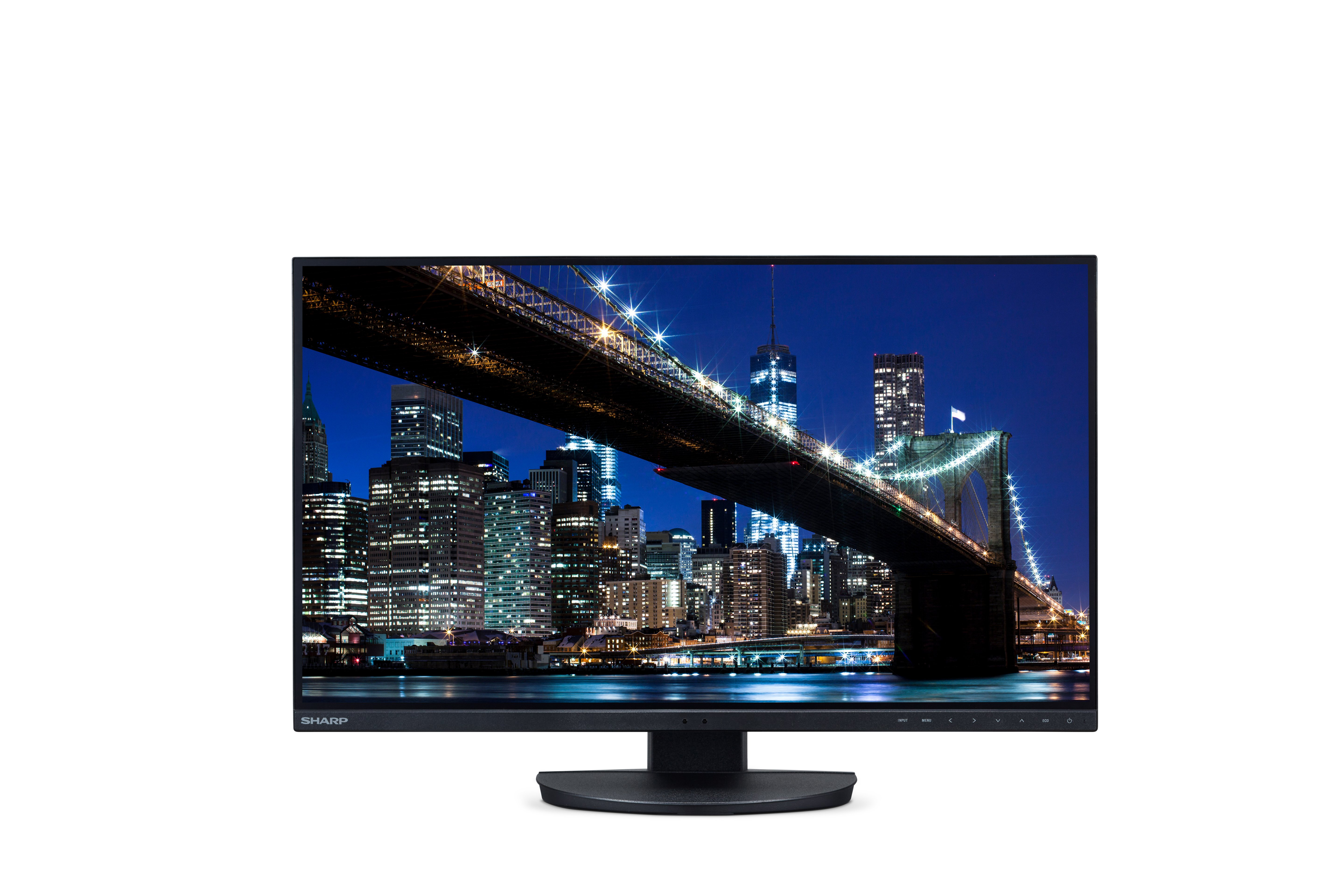 NEC Sharp MultiSync EA272U