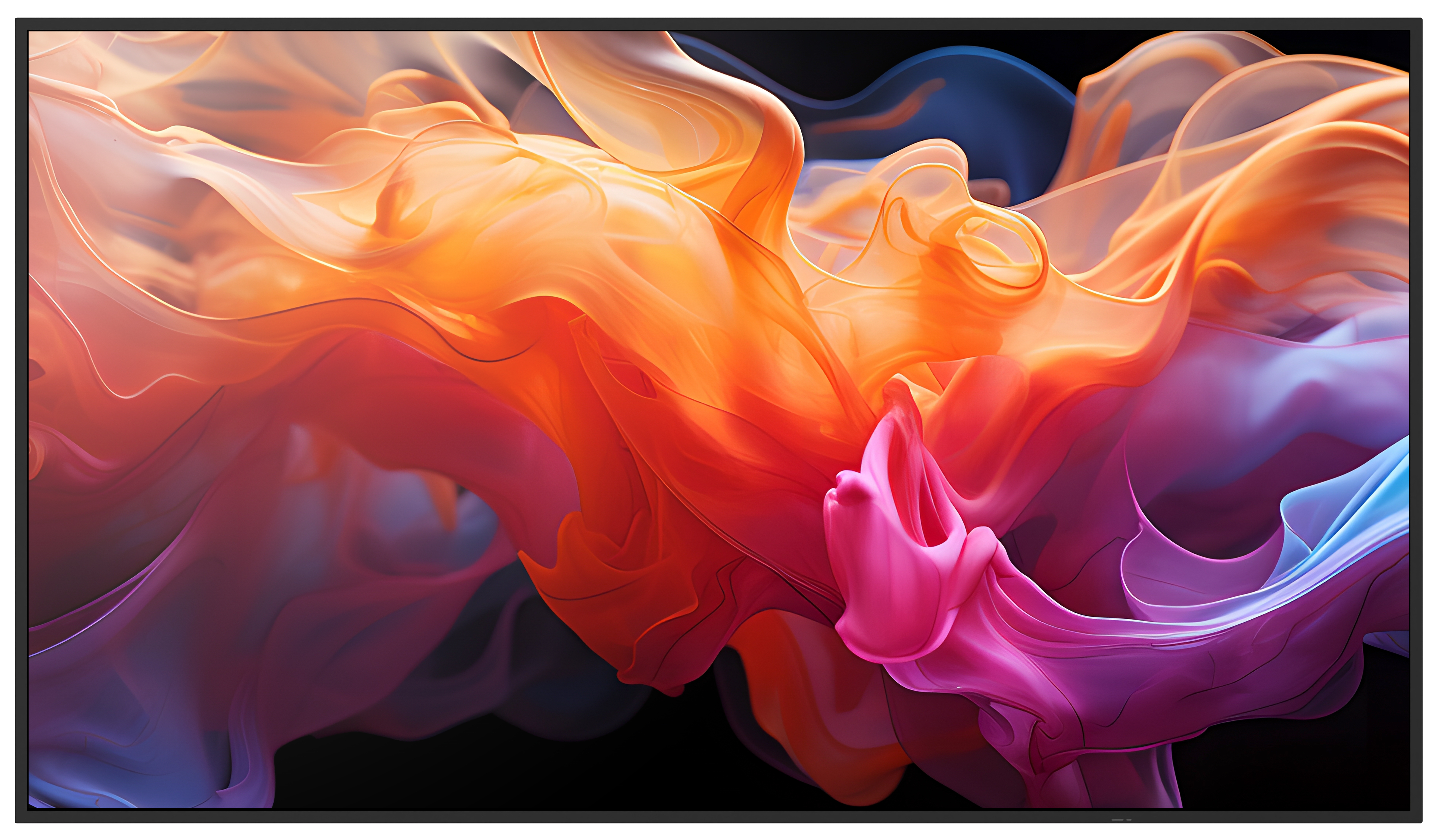 NEC MultiSync E559