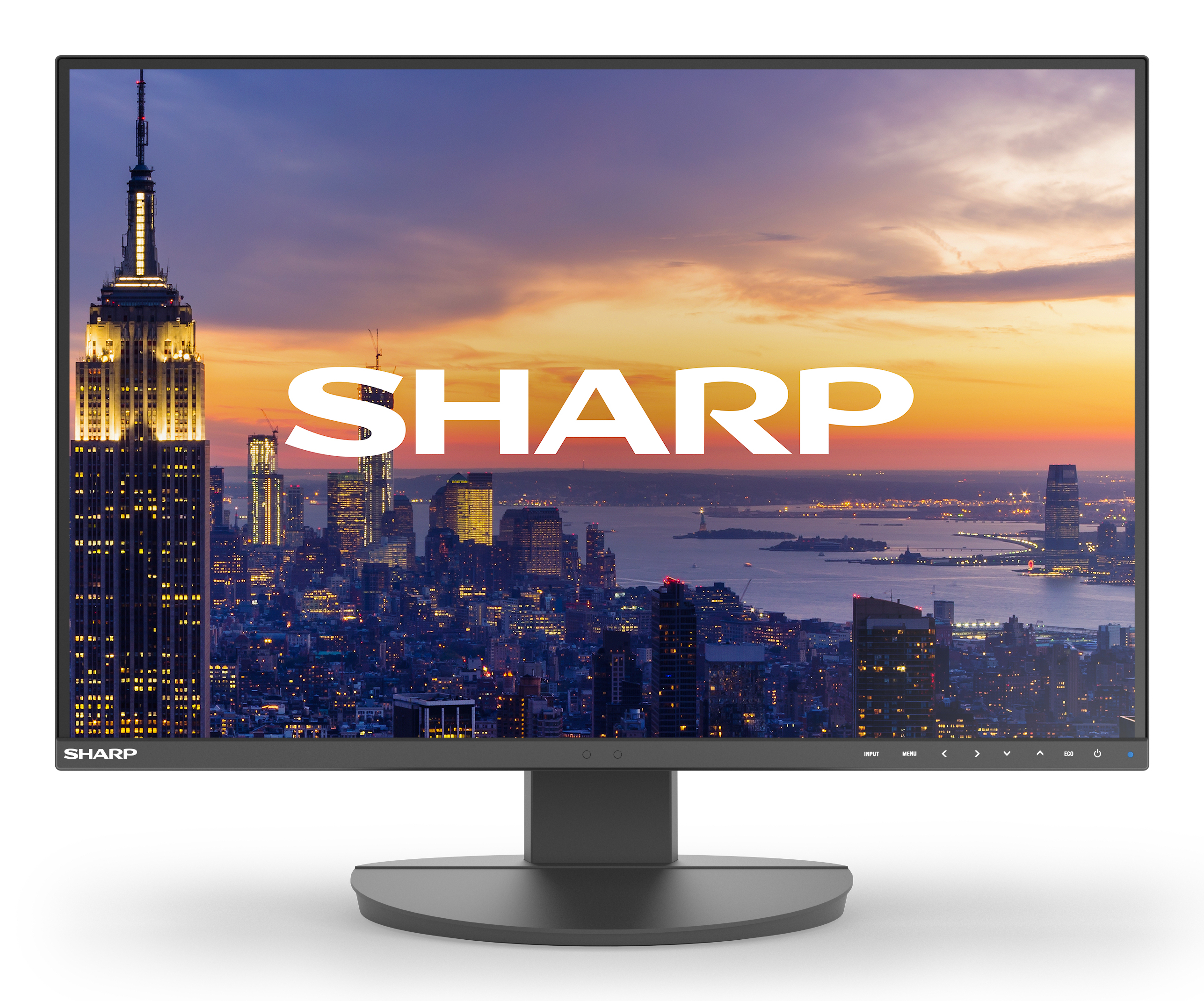 Sharp Multisync DD-EA242W