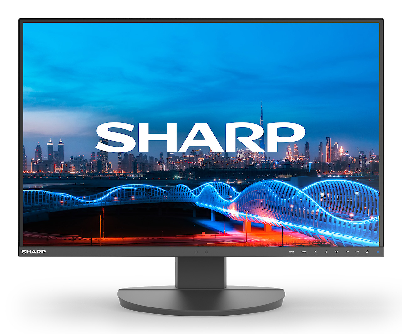 NEC Sharp MultiSync EA241W