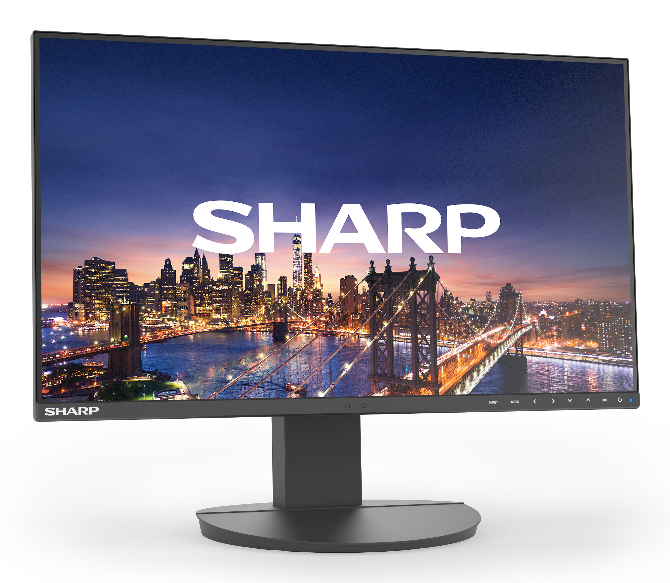 NEC Sharp MultiSync EA242F