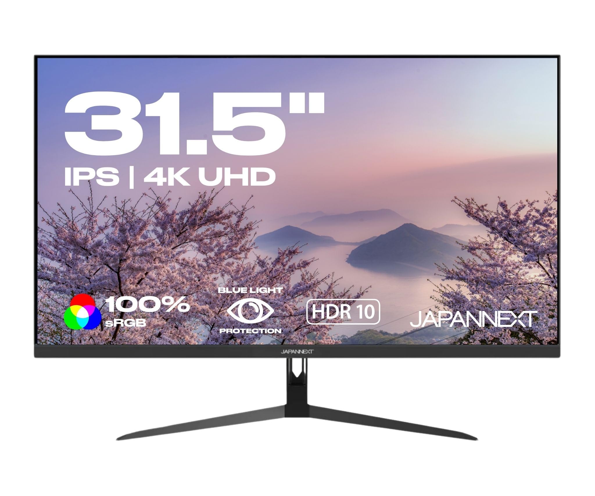 JAPANNEXT Écran PC JN-IPS315UHDR 31,5 pouces 4K UHD IPS