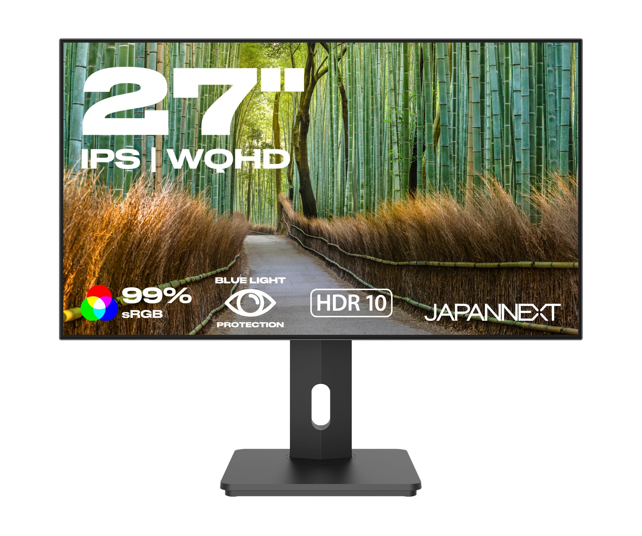 JAPANNEXT Écran PC LED 27 pouces WQHD Dalle IPS 60Hz
