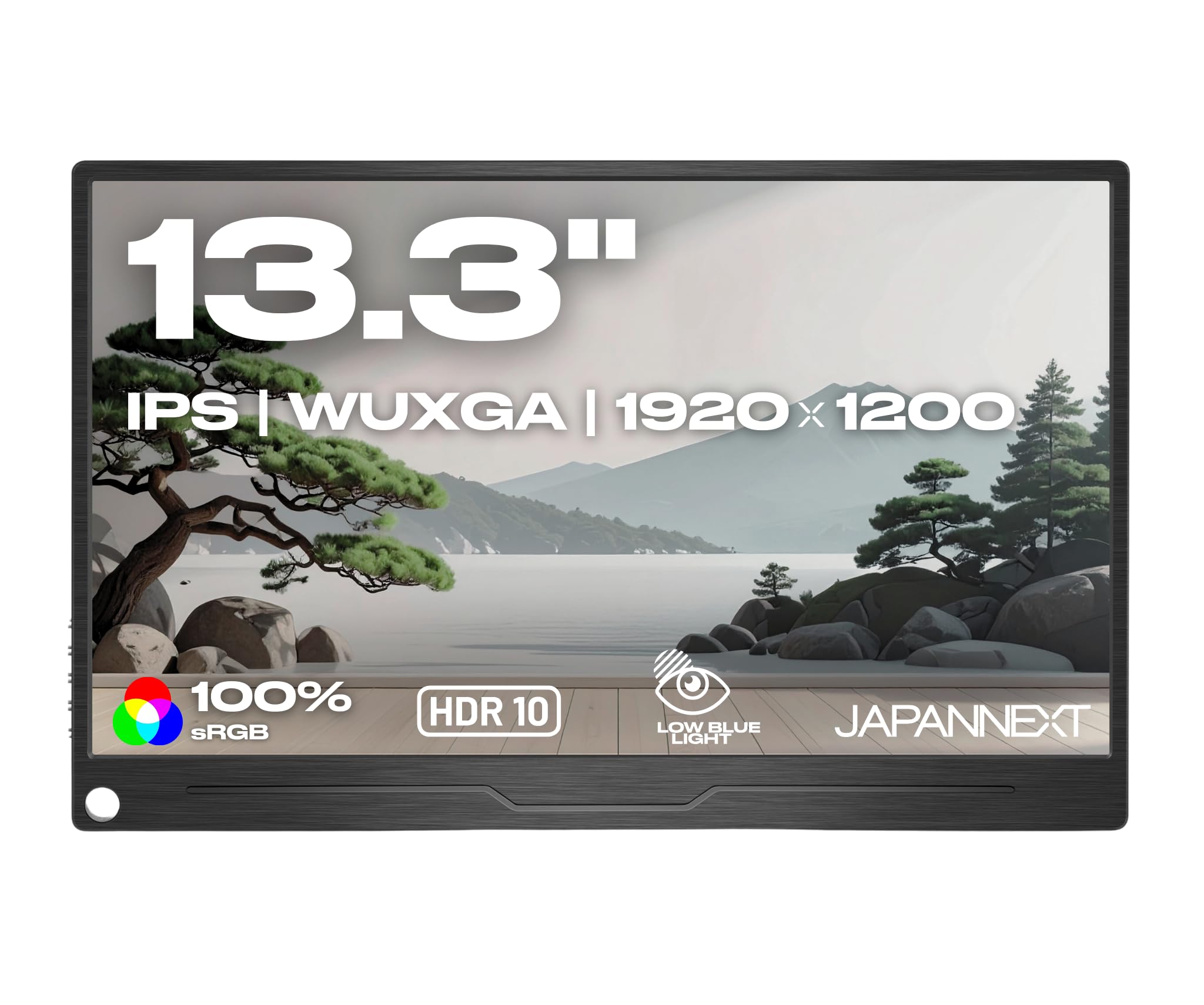 JAPANNEXT Écran LED Portable 13,3