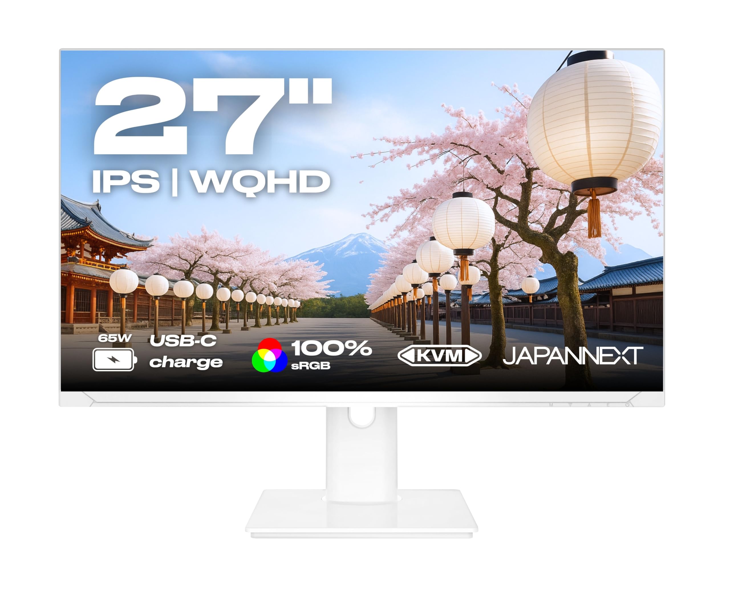 JAPANNEXT Écran PC LED 27 pouces WQHD 75Hz