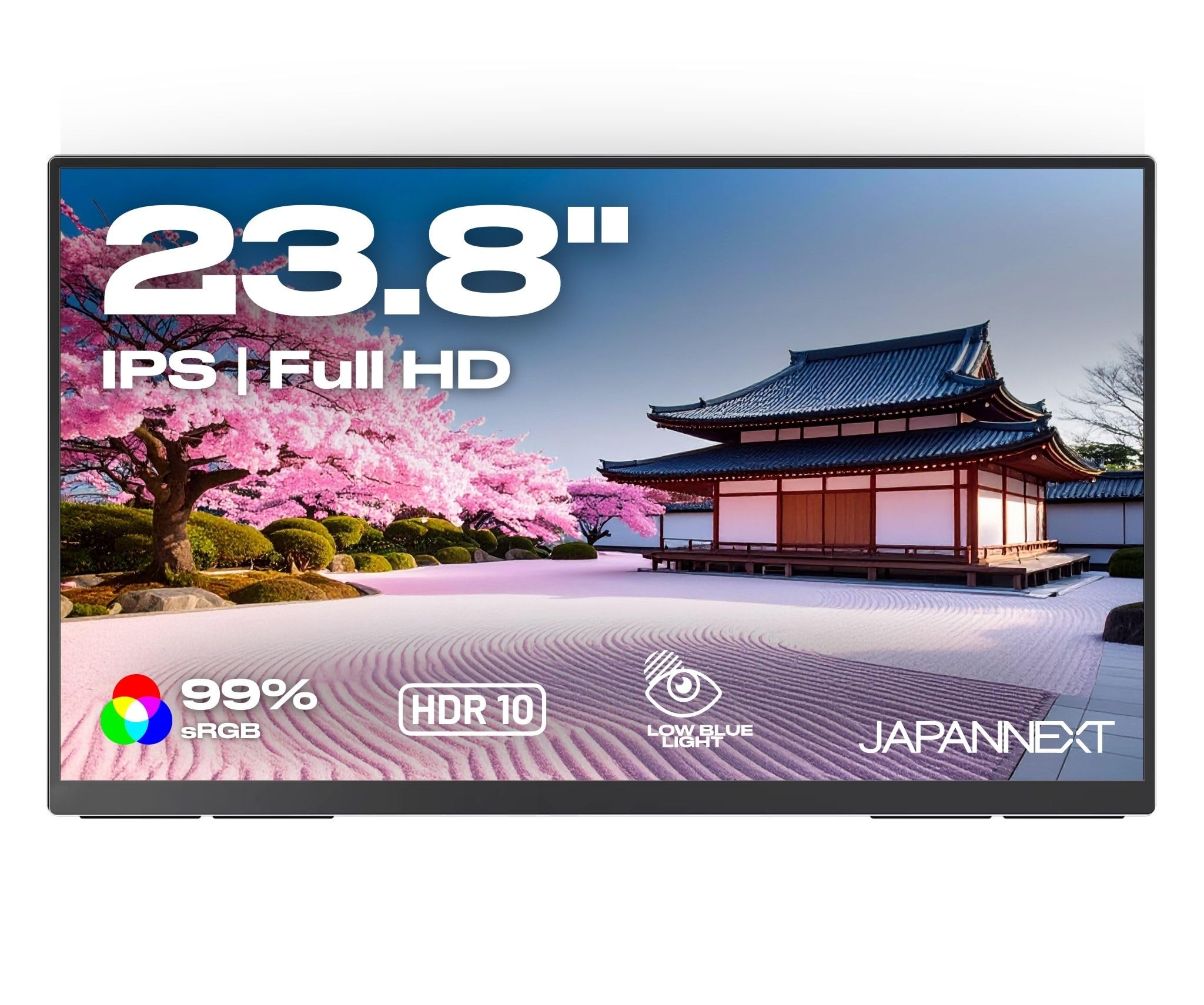 JAPANNEXT Écran LED 23.8 pouces FHD 100Hz Dalle IPS