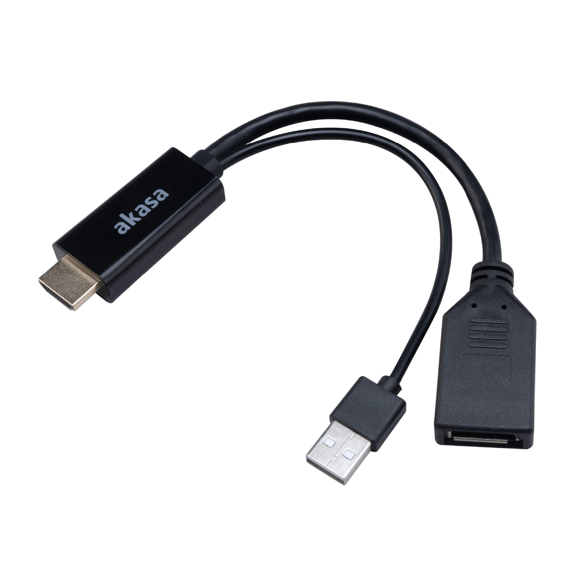 AKASA HDMI à DisplayPort Adapter Kabel