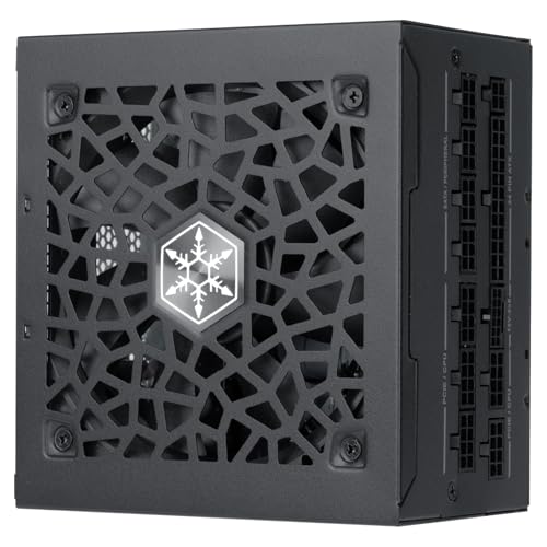 SILVERSTONE SilverStone HELA 750R 80 PLUS Platinum Netzteil, ATX 3.1, PCIe 5.1