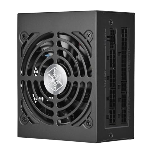 SILVERSTONE Extreme 1000Rz Platinum (schwarz