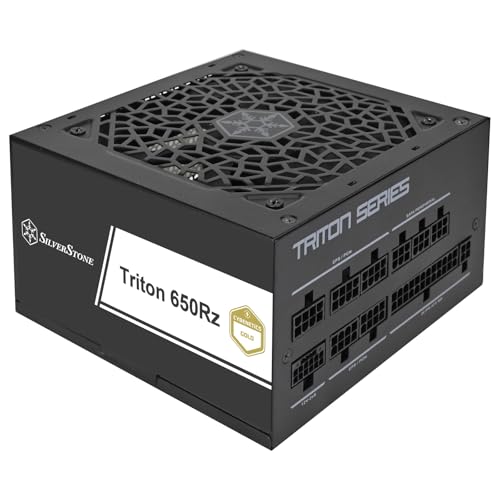SILVERSTONE Triton 650Rz (schwarz