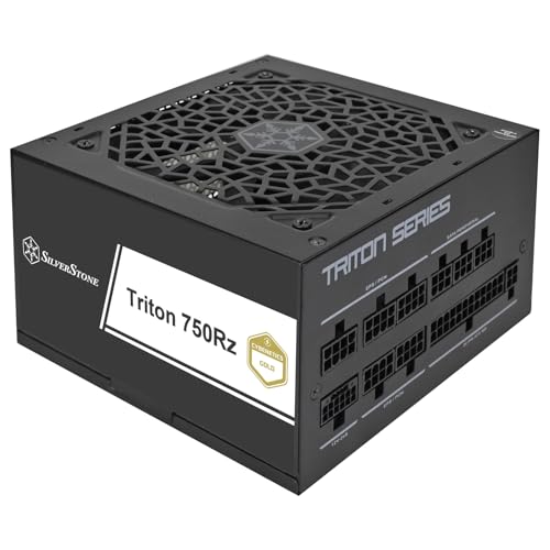 SILVERSTONE Triton 750Rz (schwarz