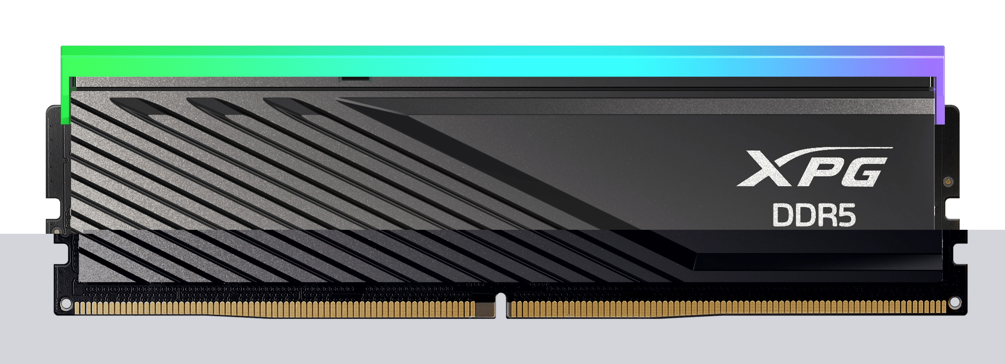 ADATA DIMM 64 GB DDR5-6000 (2x 32 GB) Dual-Kit
