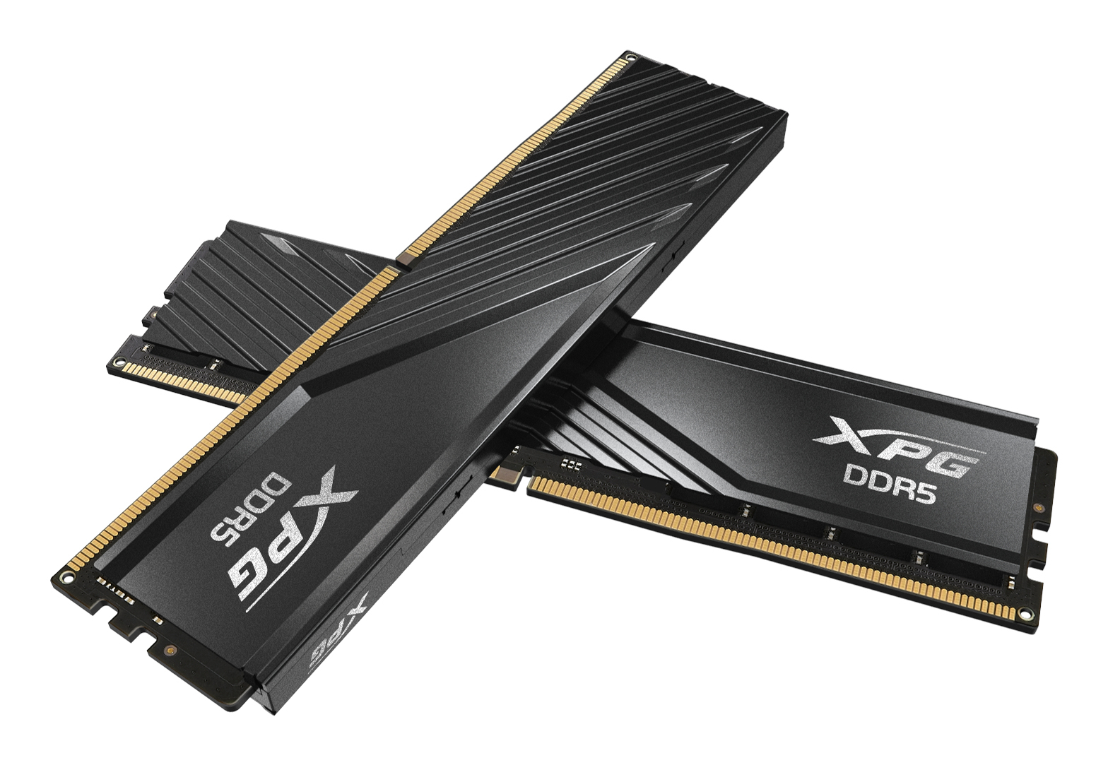 ADATA DIMM 8 GB DDR5-5600 (1x 8 GB)