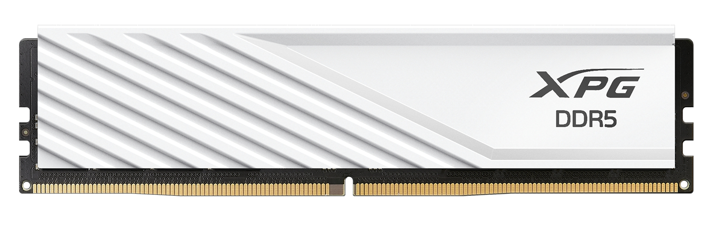 ADATA DIMM 16 GB DDR5-6000 (1x 16 GB)