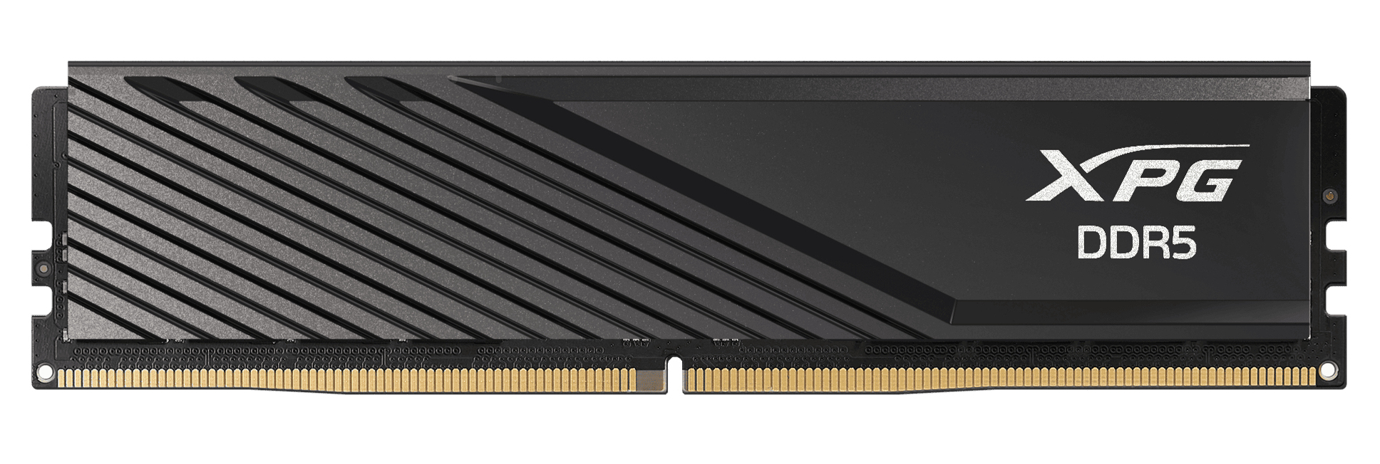 ADATA DIMM 16 GB DDR5-6000 (1x 16 GB)