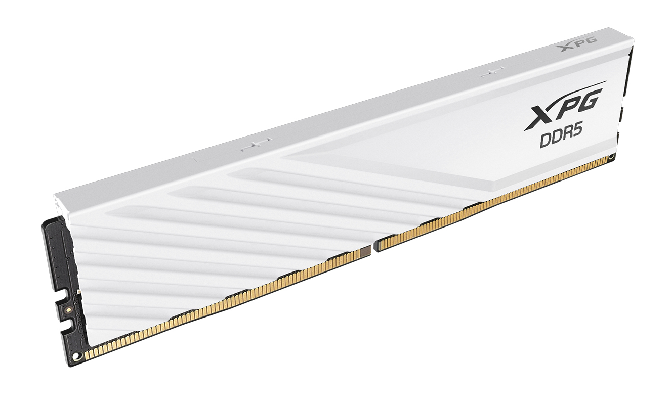 ADATA DIMM 8 GB DDR5-5600 (1x 8 GB)