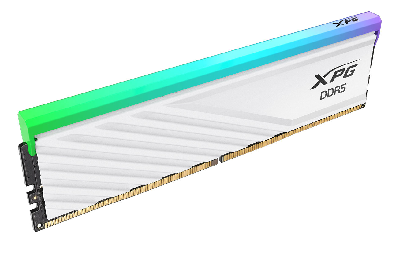 ADATA DIMM 8 GB DDR5-5600 (1x 8 GB)