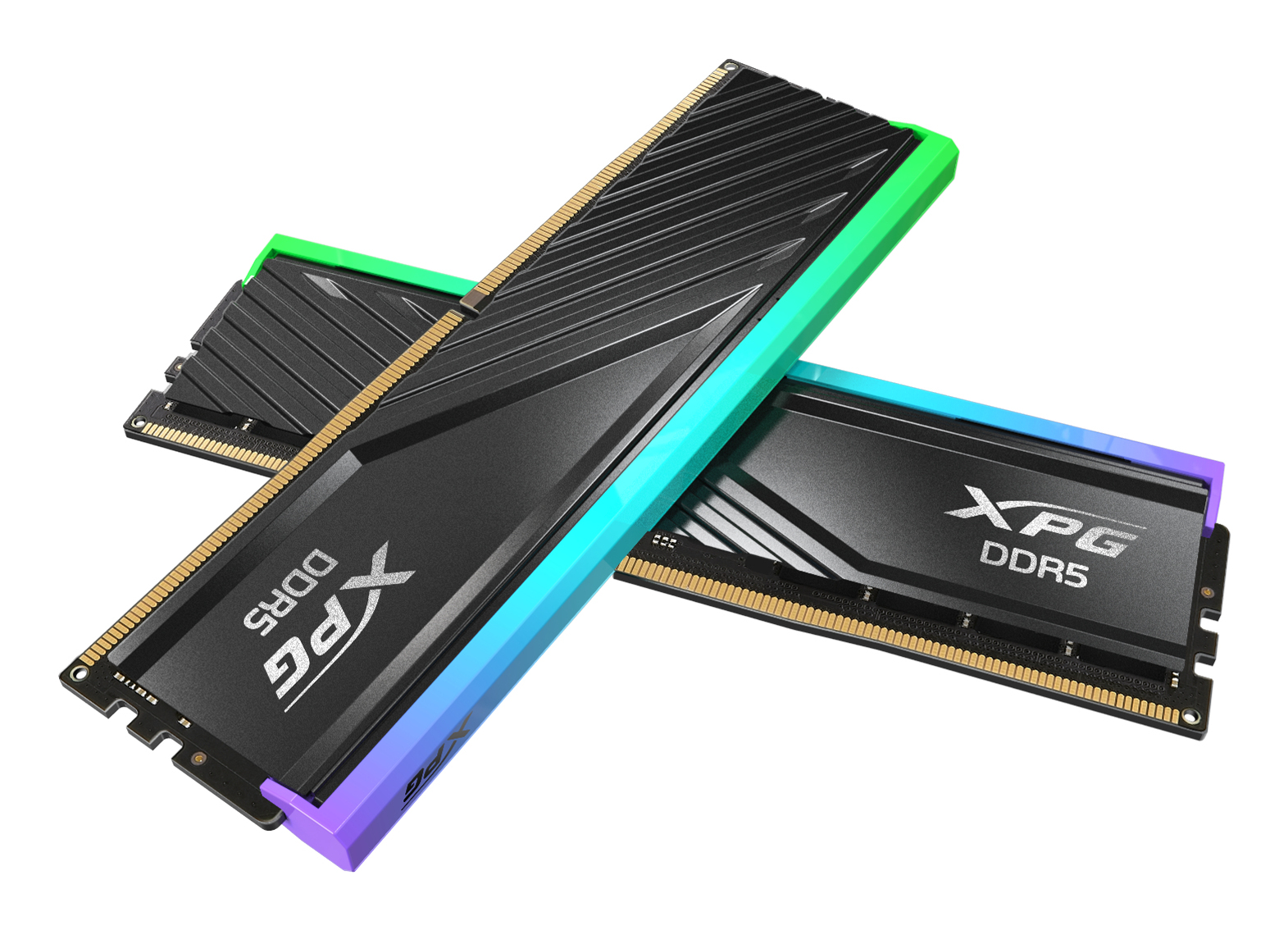 ADATA DIMM 16 GB DDR5-5600 (2x 8 GB) Dual-Kit