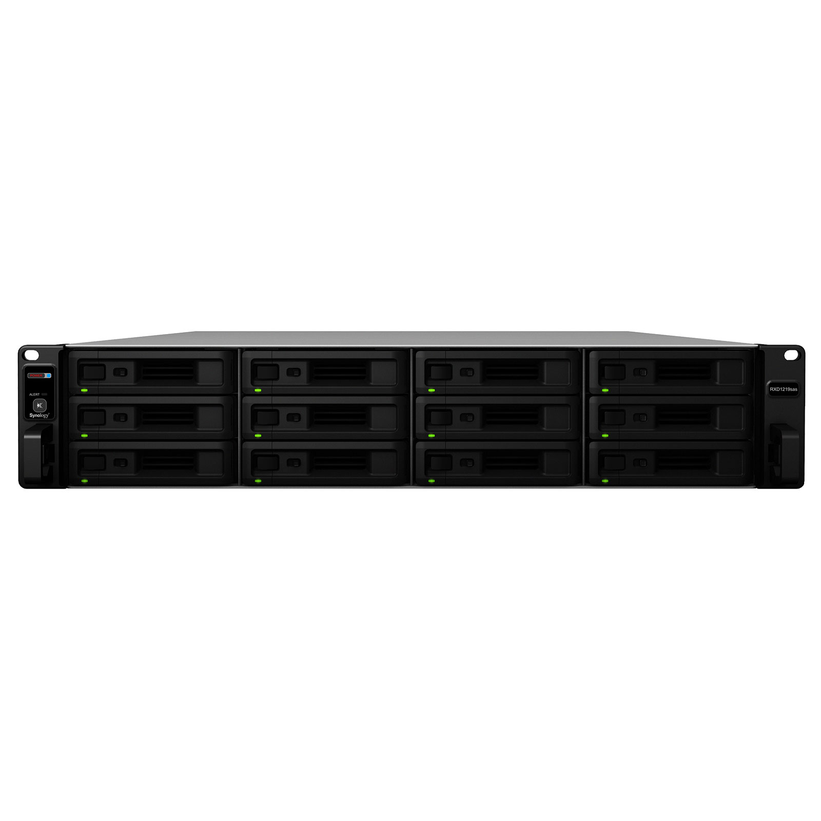 SYNOLOGY RXD1219sas