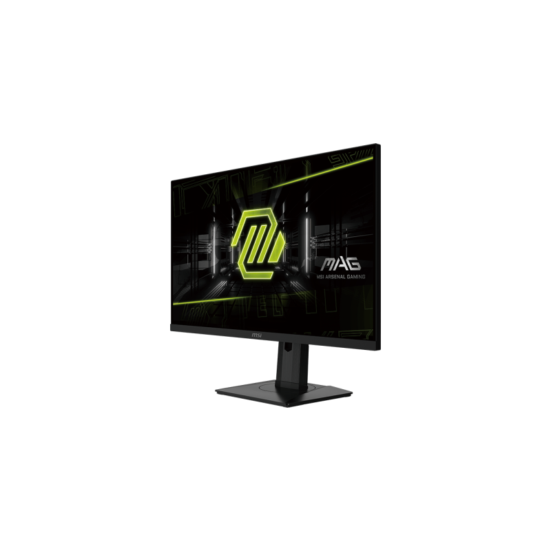 MSI Écran PC Gamer MAG 255XF 24,5