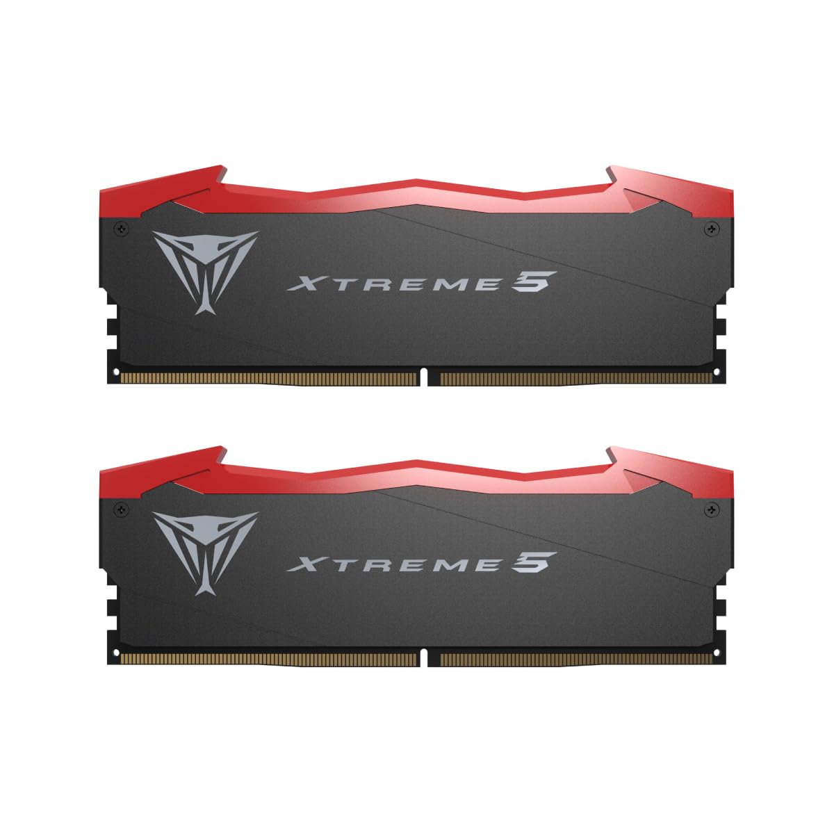 PATRIOT Viper Gaming XTREME 5 DDR5-8200 RAM, CL 38, Intel XMP 3.0
