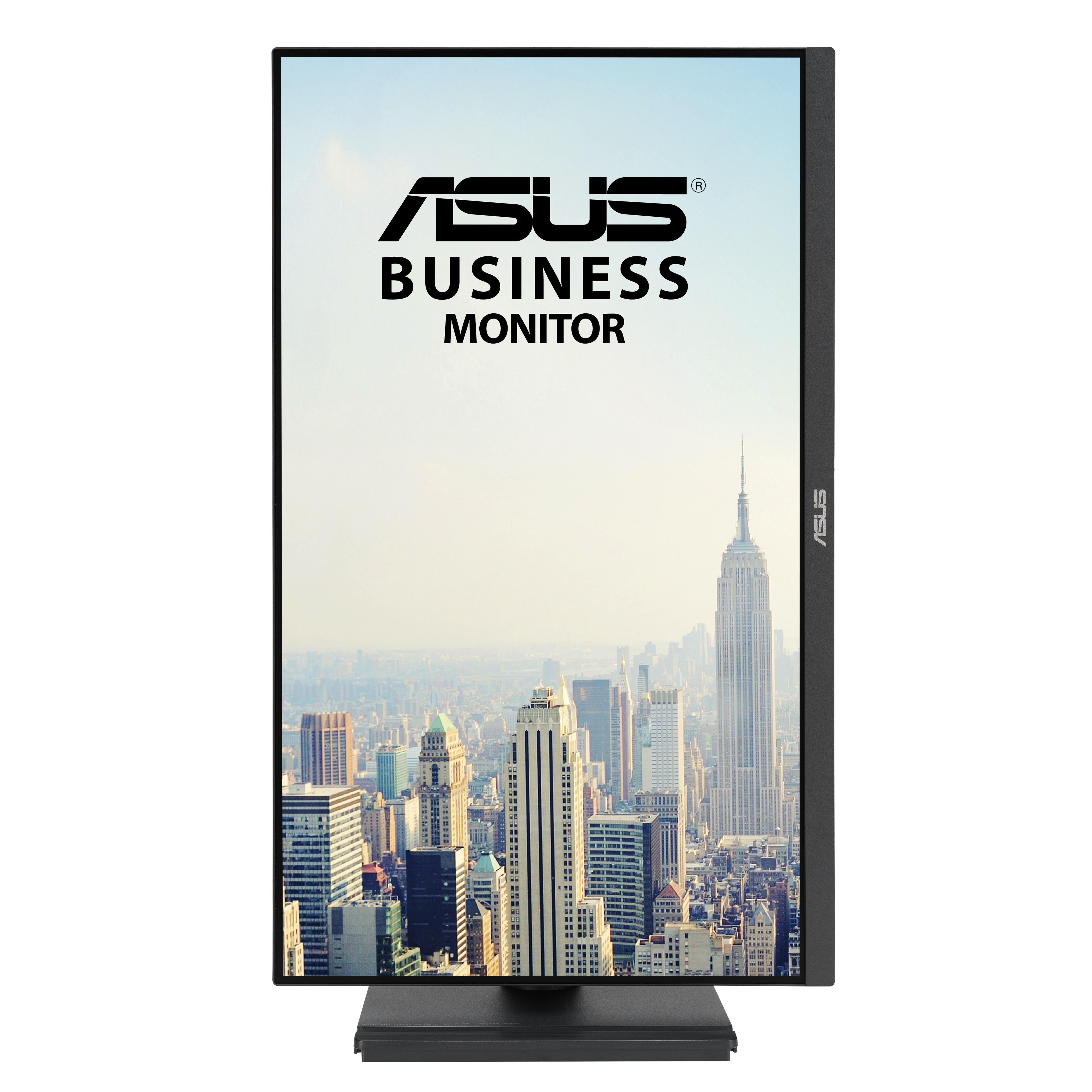 ASUS VA249QGS Business