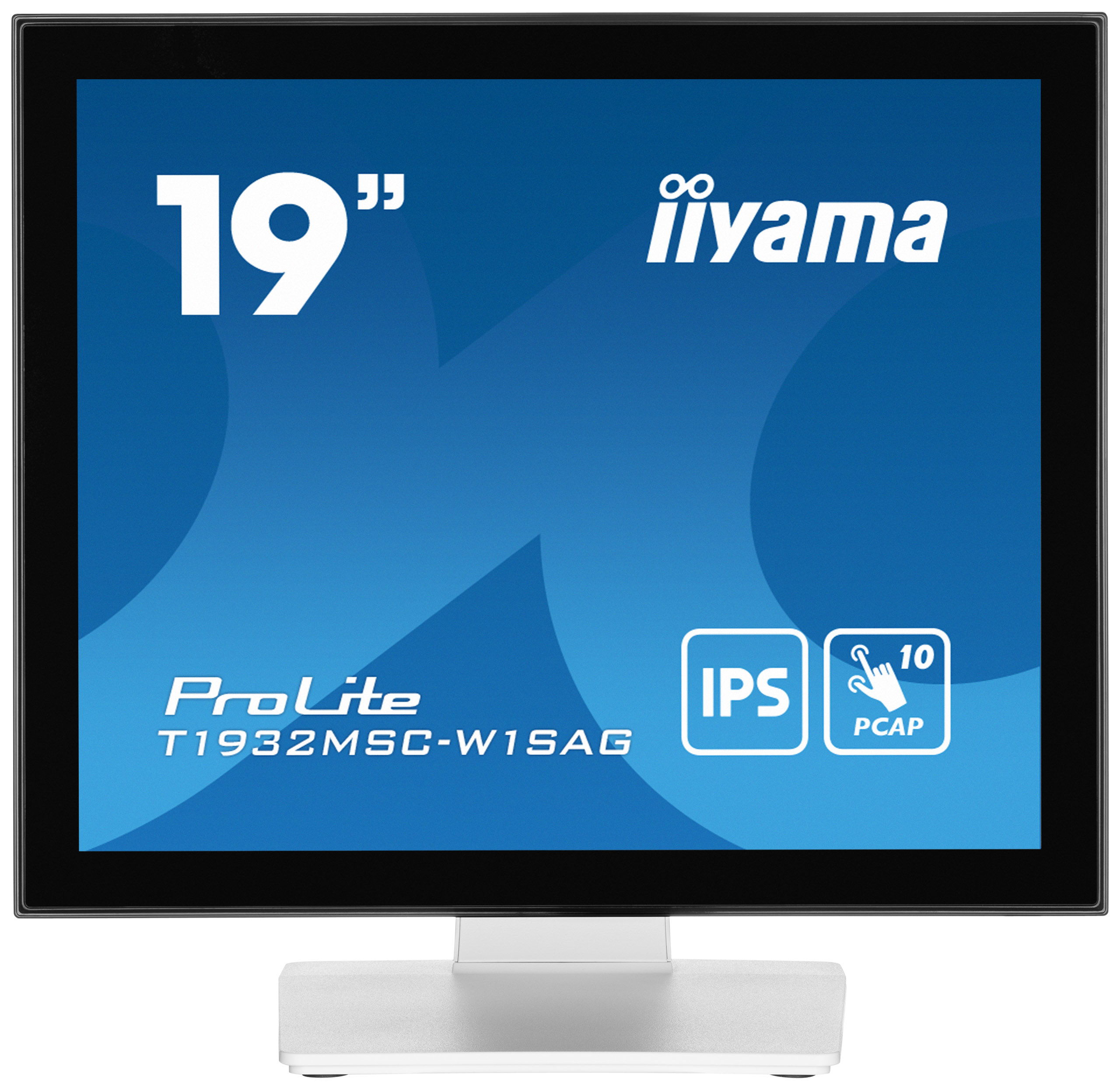 IIYAMA 19