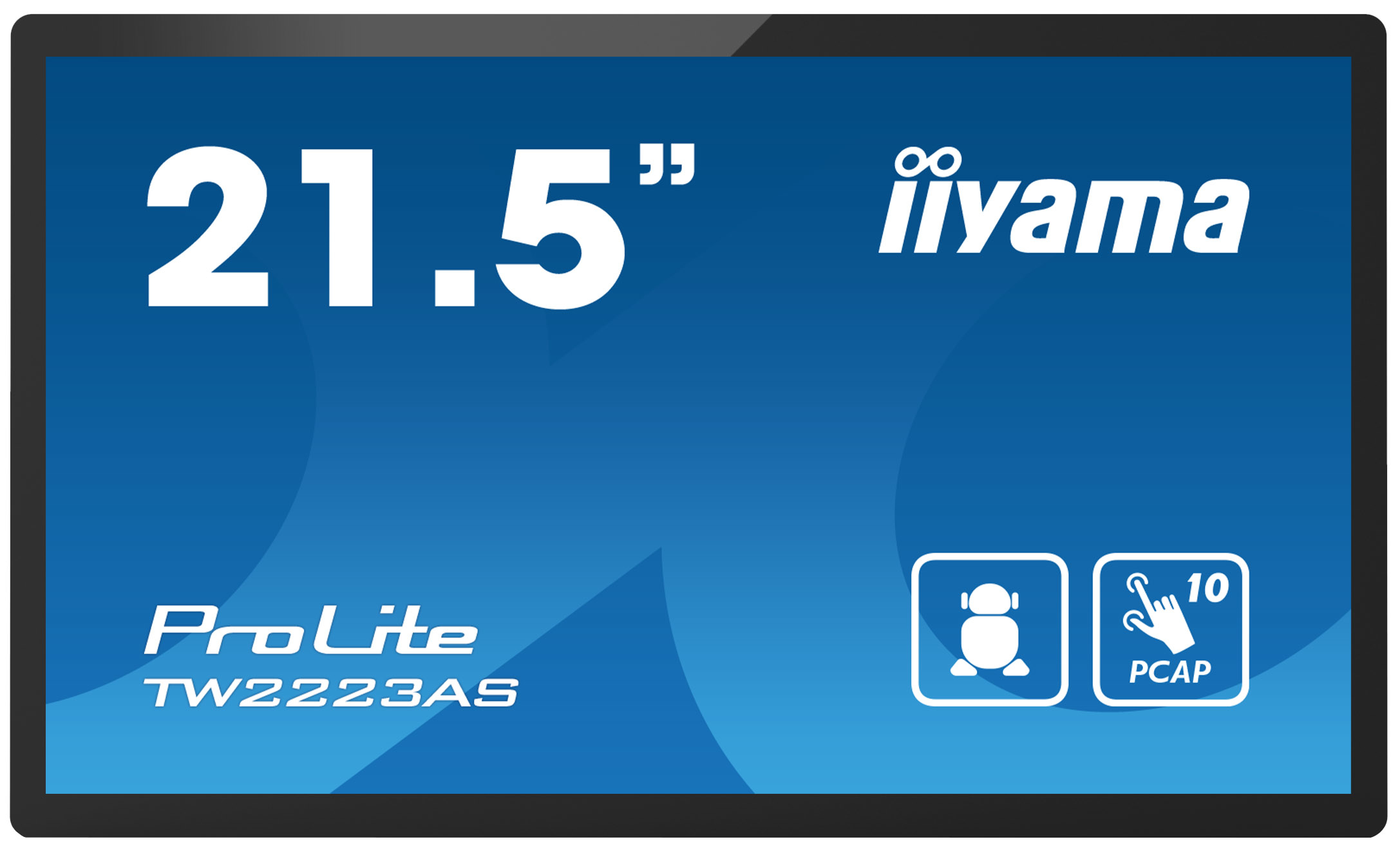 IIYAMA TW2223AS-B2/15.6